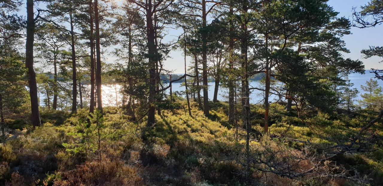 Rolfskaerrs Stugby Hotel Nygard  Luaran gambar