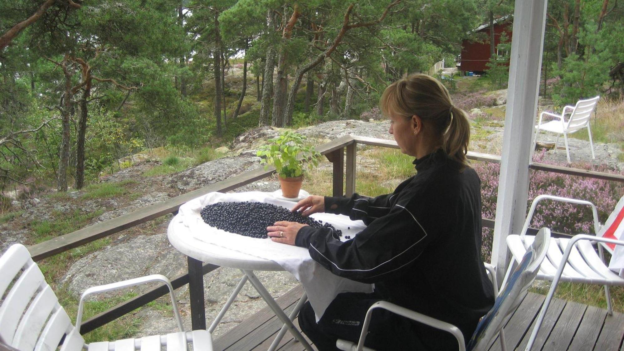 Rolfskaerrs Stugby Hotel Nygard  Luaran gambar